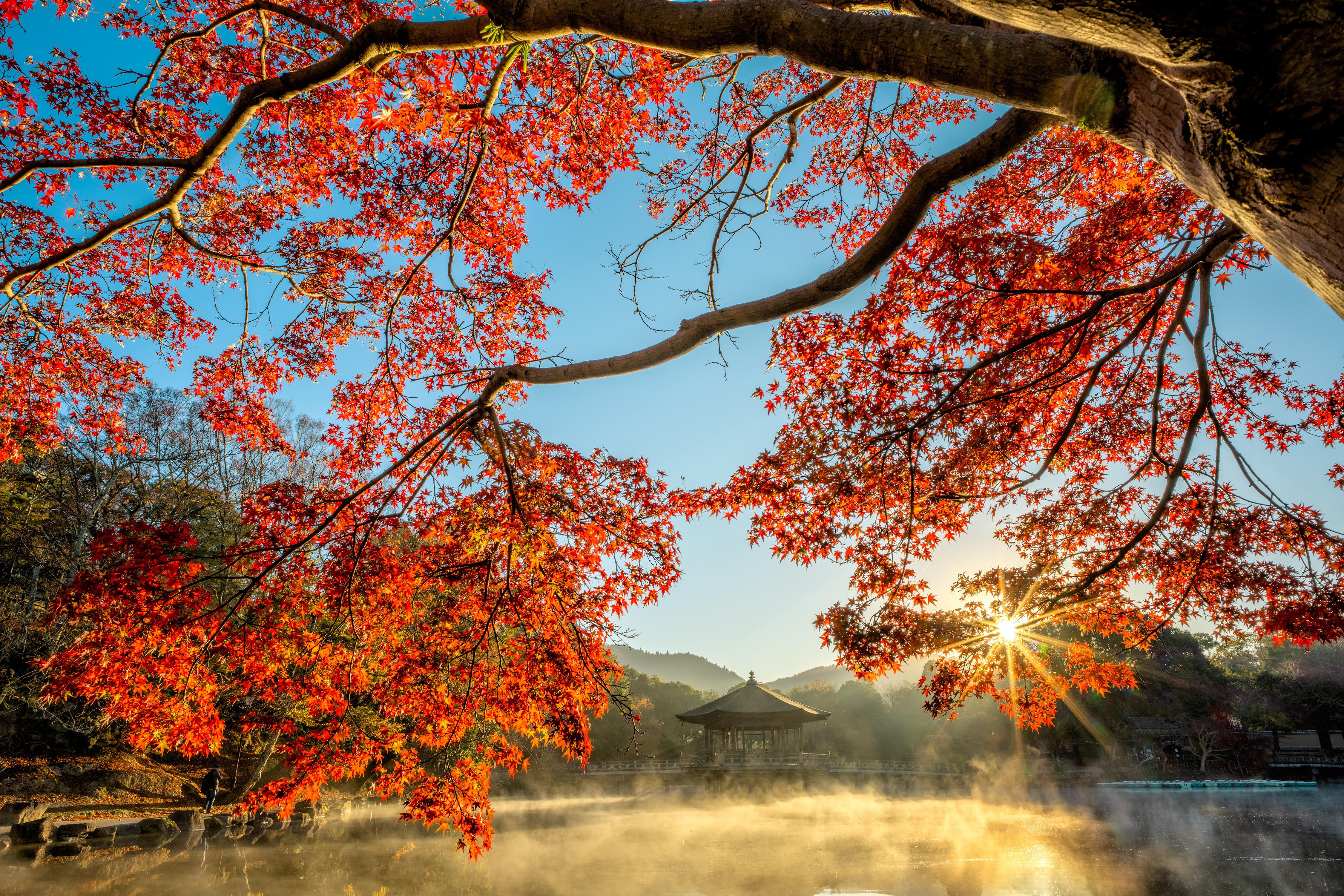 Tour de 22 días por China de Norte a sur con Paisajes de Japón salida los domingos desde Pekín